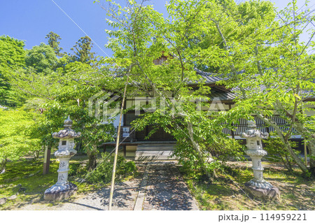 京都　光明寺（粟生光明寺）　観音堂 114959221