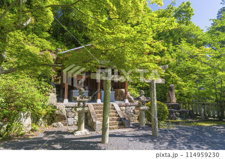 京都　光明寺（粟生光明寺）　鎮守社 114959230