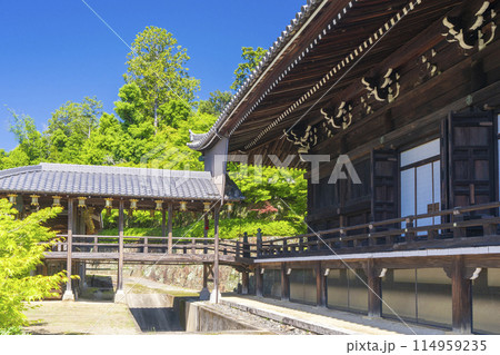 京都　光明寺（粟生光明寺）御影堂　渡り廊下 114959235