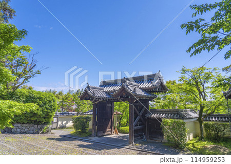 京都　光明寺（粟生光明寺）　総門 114959253