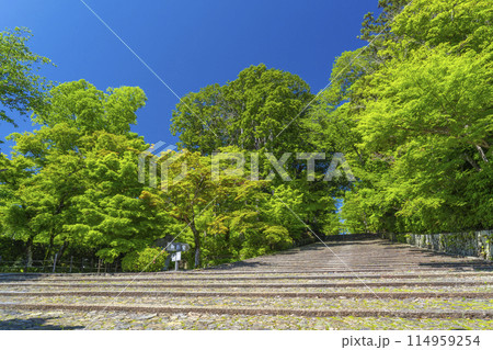 京都 光明寺(粟生光明寺) 新緑に包まれた女人坂 京都 光明寺(粟生光明寺) 新緑に包まれた女人坂 114959254
