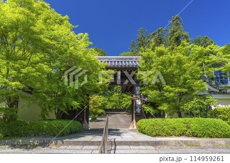 京都　光明寺（粟生光明寺）　総門 114959261