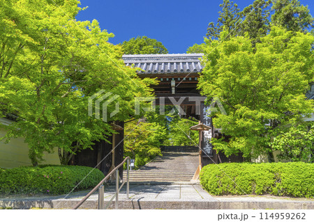京都 光明寺(粟生光明寺) 総門 京都 光明寺(粟生光明寺) 総門 114959262