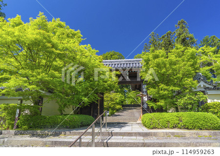 京都 光明寺(粟生光明寺) 総門 京都 光明寺(粟生光明寺) 総門 114959263
