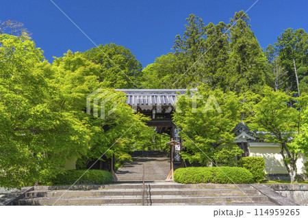 京都　光明寺（粟生光明寺）　総門 114959265