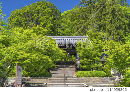 京都　光明寺（粟生光明寺）　総門 114959266
