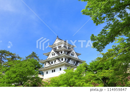 【岐阜県】新緑の郡上八幡城の天守閣 114959847