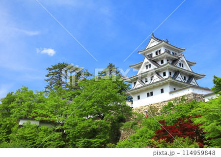 【岐阜県】新緑の郡上八幡城の天守閣 114959848