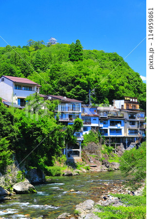 【岐阜県】吉田川と新緑の郡上八幡城 114959861