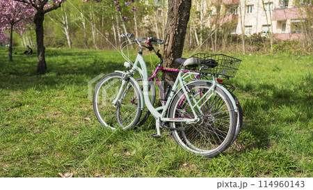 Two bicycles stand near tree 114960143