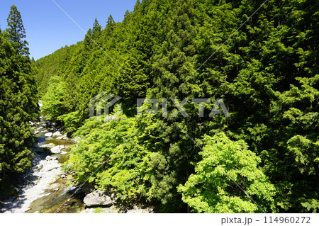 新緑に映える渓谷 天川村 114960272