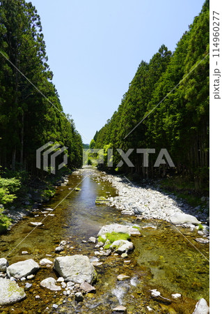 新緑に映える渓谷 天川村 114960277