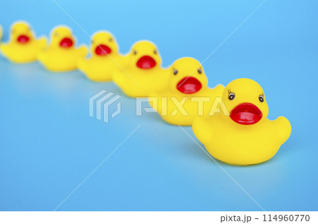 Rubber duck leading other rubber ducks with customizable space for text. Leadership concept 114960770