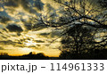 日本の早朝の風景(マジックアワー)自然の風景 114961333