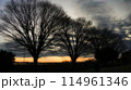 日本の早朝の風景(マジックアワー)自然の風景 114961346