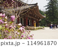 北朝鮮  2019年 114961870
