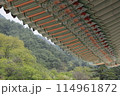 北朝鮮 2019年 114961872