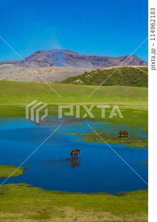 熊本県阿蘇 春の青空と草千里ヶ浜に放牧された馬 熊本県阿蘇 春の青空と草千里ヶ浜に放牧された馬 114962183