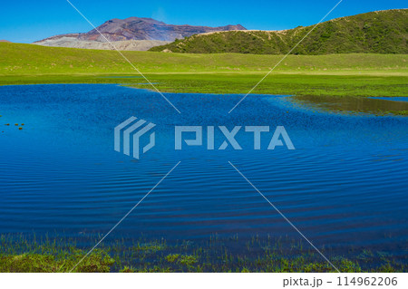 熊本県阿蘇　春の青空と草千里ヶ浜の池 114962206
