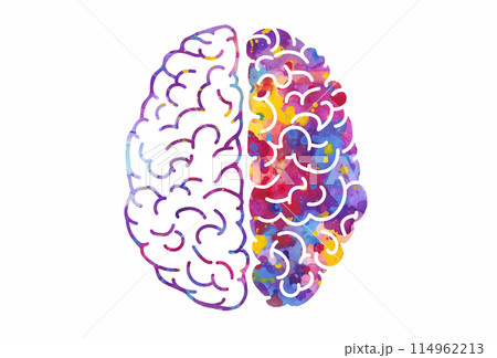 Watercolor brain, left and right hemispheres. Vector illustration Watercolor brain, left and right hemispheres. Vector illustration 114962213