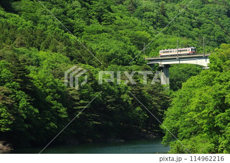 新緑の野岩鉄道・6050系 新緑の野岩鉄道・6050系 114962216