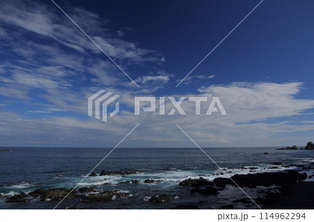 高知県国道321号線　足摺サニーロードの風景 114962294