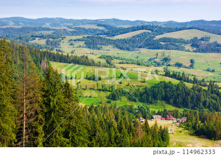 rural landscape in carpathian mountains of ukraine. alpine countryside scenery with grassy meadows and forested rolling hills in summer. beautiful view of the valley near borzhava ridge from above 114962333
