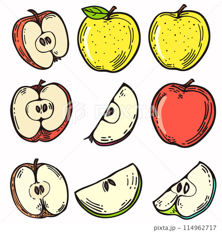 Handdrawn apples illustration colorful fruit slices sketch. Whole cut apples artistic drawing vibrant colors. Cartoon set healthy food drawing isolated white background 114962717