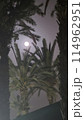 Beautiful fantasy of palm tree at tropical beach and full moon in night skies background. Retro 114962951