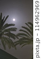 Beautiful fantasy of palm tree at tropical beach and full moon in night skies background. Retro 114962969