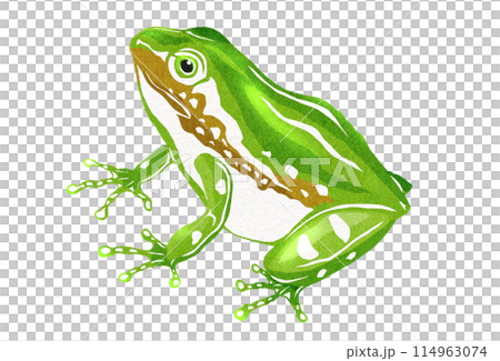 考え事をしているアマガエルのイラスト 114963074