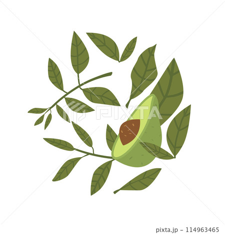 avocado_sets-04 114963465