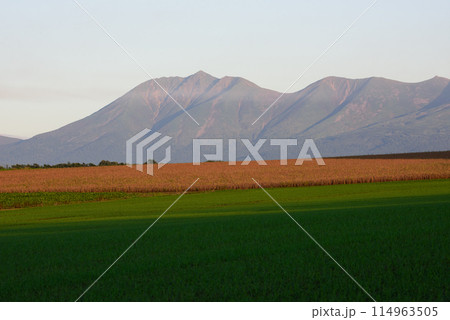 9月の美瑛の風景 114963505
