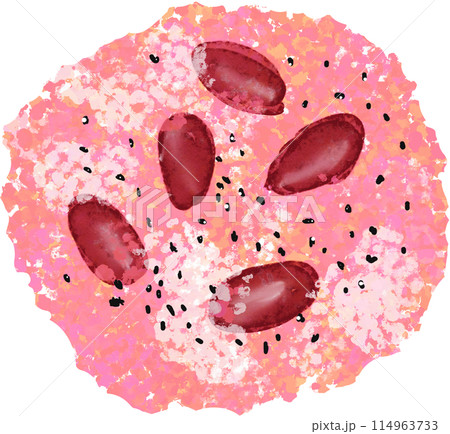 甘納豆の赤飯のイラスト 114963733