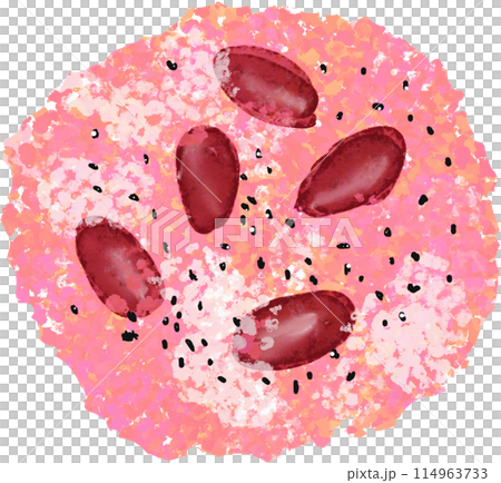 甘納豆の赤飯のイラスト 114963733
