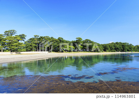 戸田漁港から望む冠雪の富士山 114963801