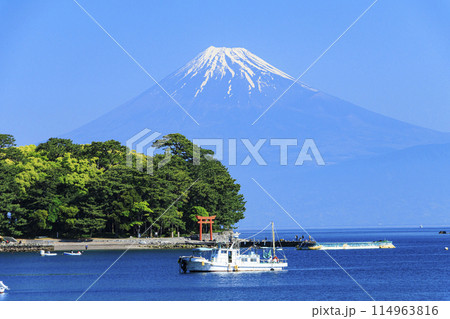 戸田漁港から望む冠雪の富士山 戸田漁港から望む冠雪の富士山 114963816