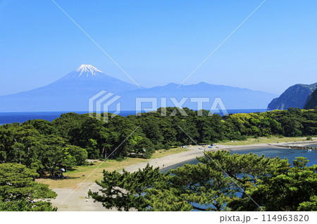 戸田漁港から望む冠雪の富士山 114963820