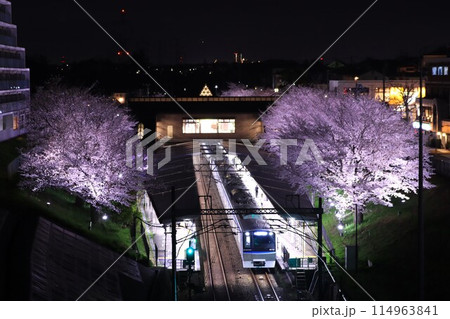 相鉄/8000系・弥生台駅・夜桜 相鉄/8000系・弥生台駅・夜桜 114963841
