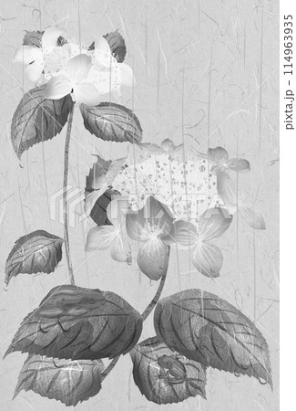 雨降りアジサイに二匹のカエルイラスト 114963935