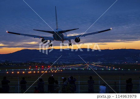 伊丹空港に着陸する旅客機 114963979