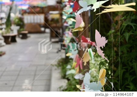 植物たちの季節 114964107