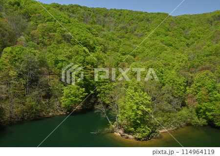 植物たちの季節 114964119