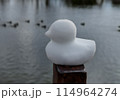 アヒルの雪像と池の鴨 114964274