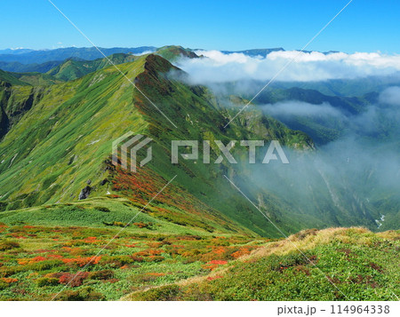 谷川岳から望む秋の上越国境稜線・仙ノ倉山方面 谷川岳から望む秋の上越国境稜線・仙ノ倉山方面 114964338
