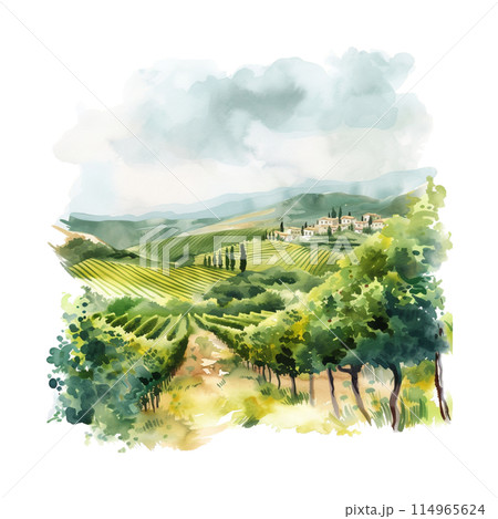 Rural landscape with vineyard fields and hills. Watercolor texture background. Hand draw design illustration for label or poster. ai 114965624