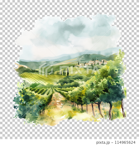 Rural landscape with vineyard fields and hills. Watercolor texture background. Hand draw design illustration for label or poster. ai 114965624