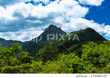 石鎚スカイライン土小屋付近から見た夏の石鎚山　愛媛県上浮穴郡久万高原町 114966297