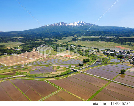 鳥海山と田植えの水田 114966784