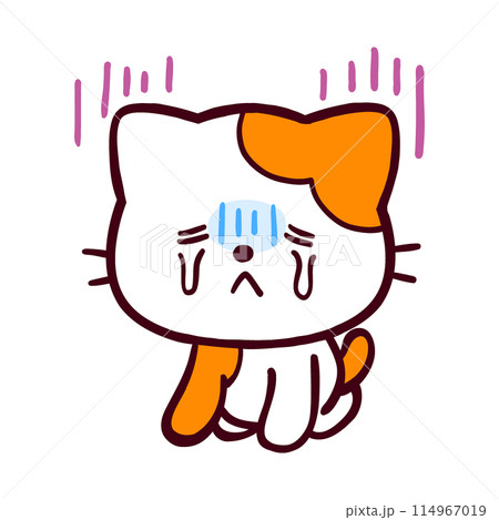落ち込んでいるコミカルなネコ 114967019
